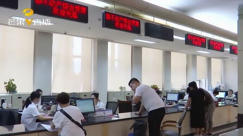 常德公開中介服務(wù)機構(gòu)名單 助市民辦事查詢更便捷