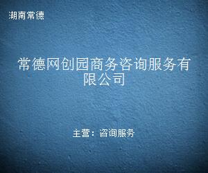 常德網創園商務咨詢服務 信息咨詢賦能企業創新與成長